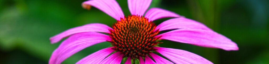 32253f69 7a68 443d b542 2e1187f213fb